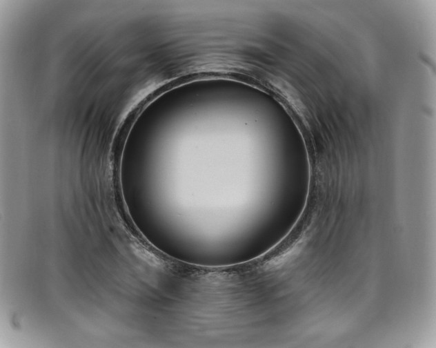 X0000099320779200805021312