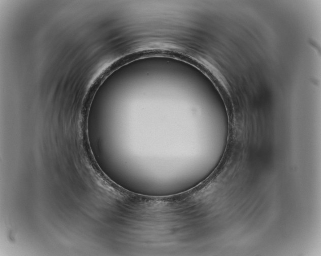 X0000099320783200805021312