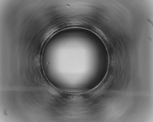 X0000099320786200805021312