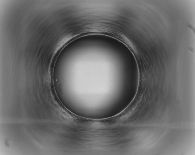 X0000099320787200805021312