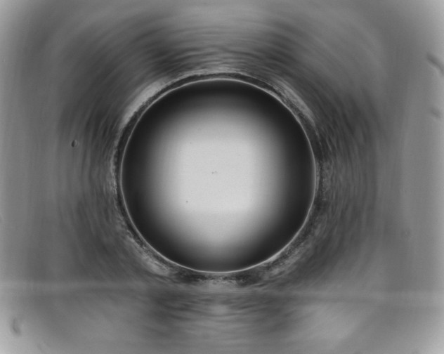 X0000099320789200805021312