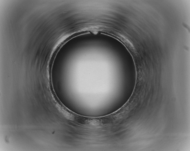 X0000099320792200805021312