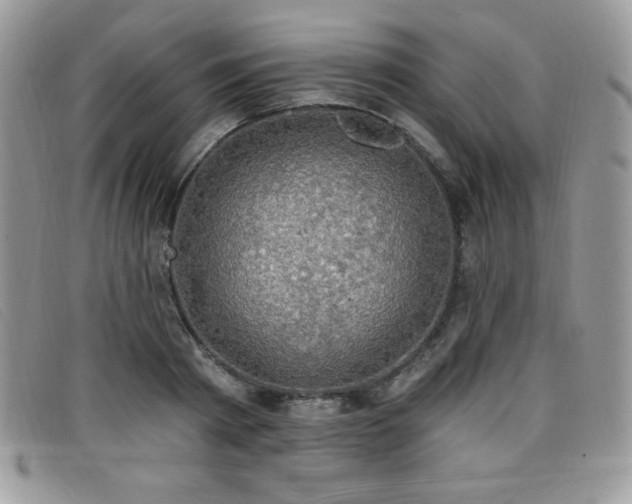 X0000099320793200805021312