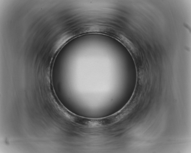 X0000099320794200805021312
