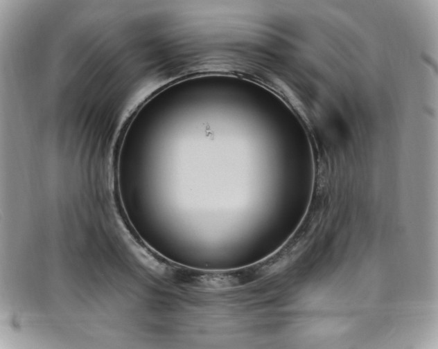 X0000099320795200805021312