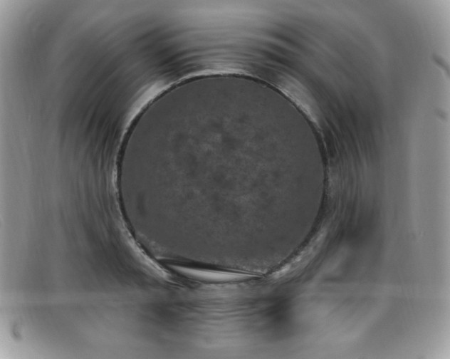 X0000099320797200805021312