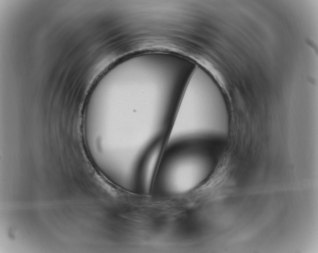 X0000099320799200805021312