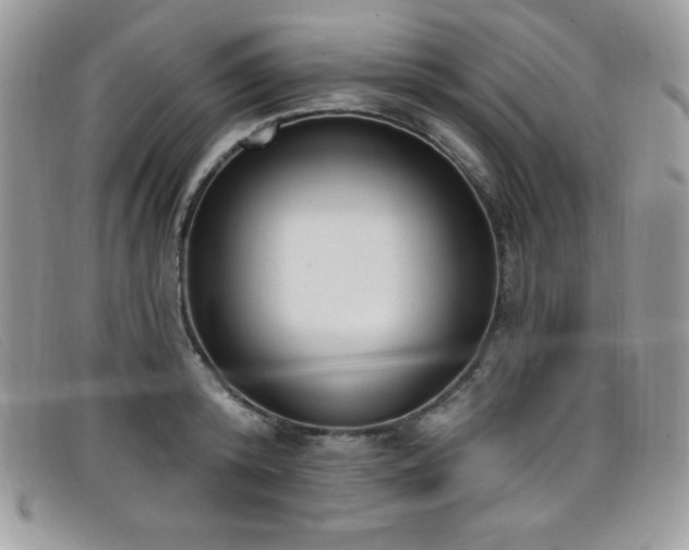 X0000099320800200805021312