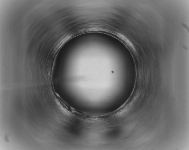 X0000099320801200805021312