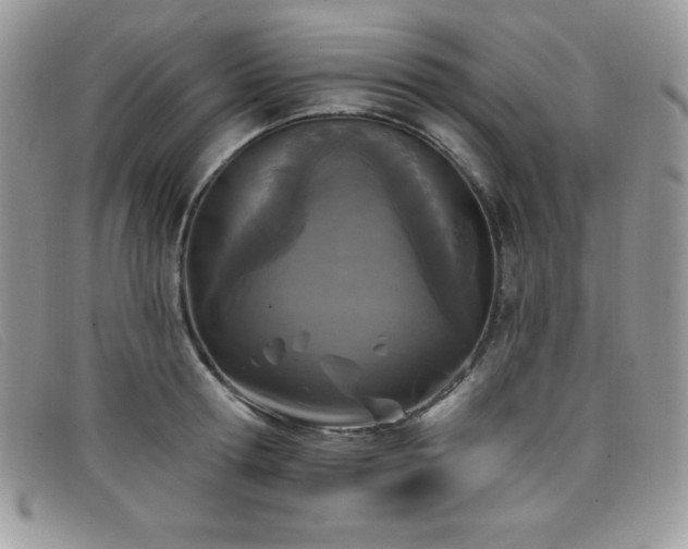 X0000099320802200805021312