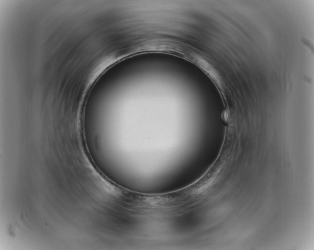 X0000099320803200805021312