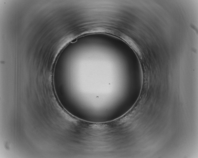 X0000099320805200805021312