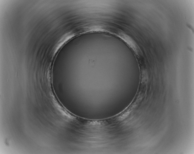 X0000099320806200805021312