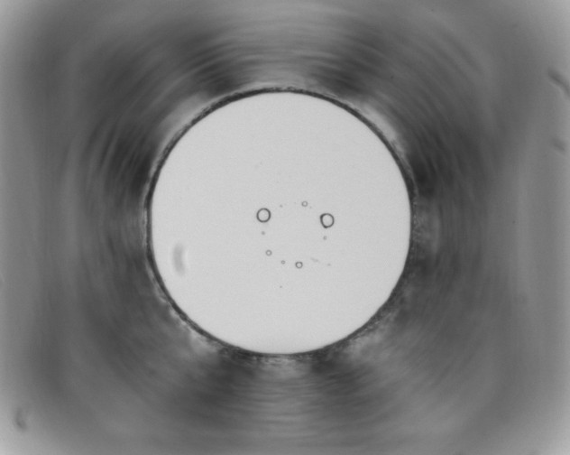 X0000099320807200805021312