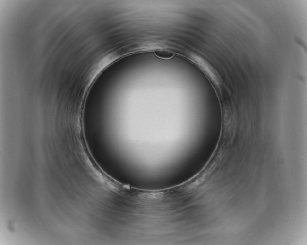 X0000099320810200805021312