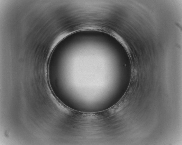 X0000099320811200805021312