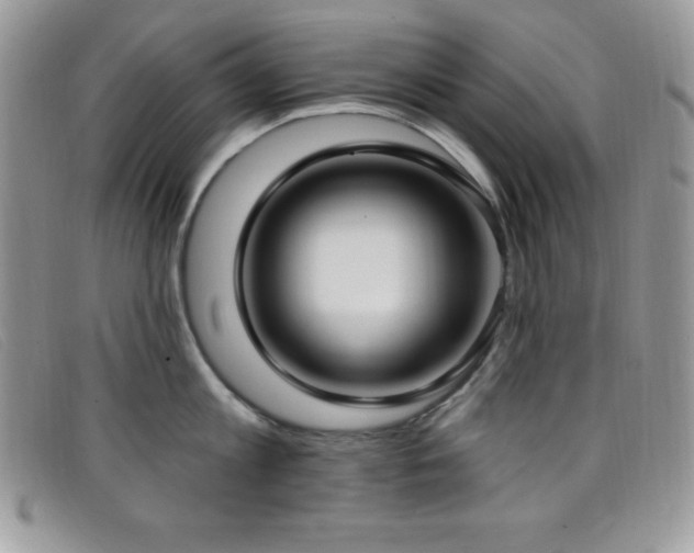 X0000099320813200805021312