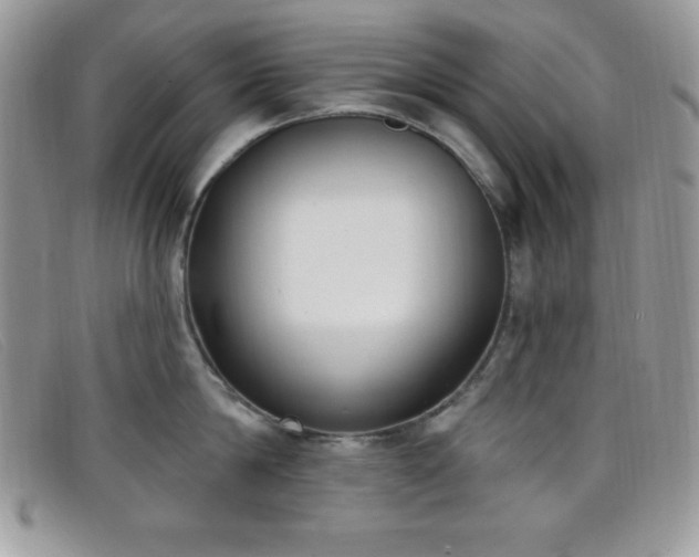 X0000099320814200805021312