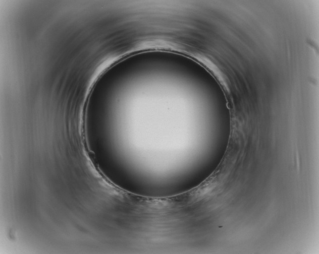 X0000099320815200805021312
