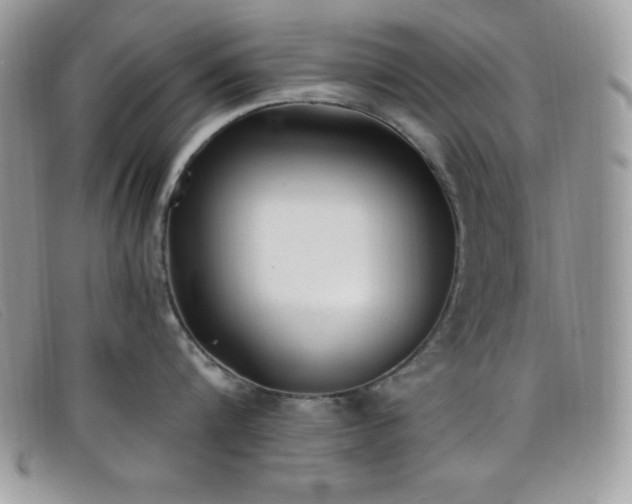 X0000099320816200805021312