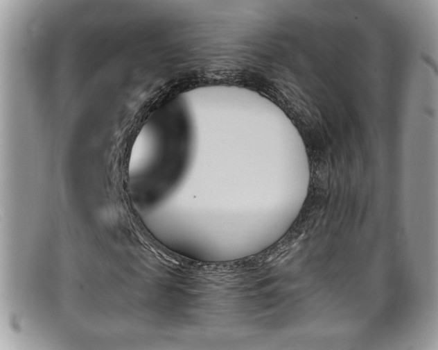 X0000099320817200805021311
