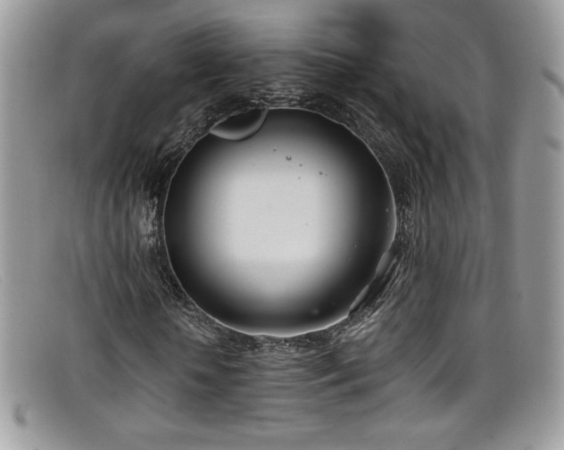 X0000099320818200805021311