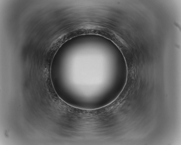 X0000099320821200805021311