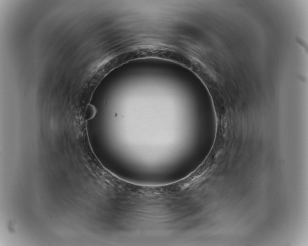 X0000099320822200805021311