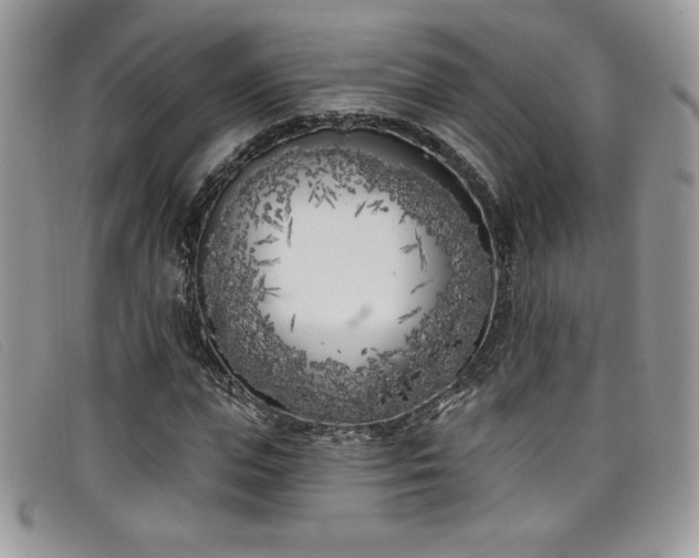 X0000099320823200805021311