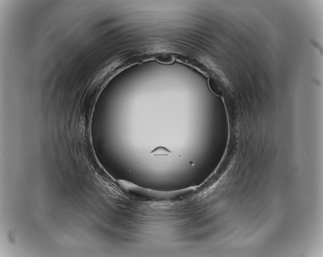 X0000099320825200805021311