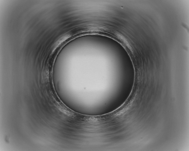 X0000099320827200805021311