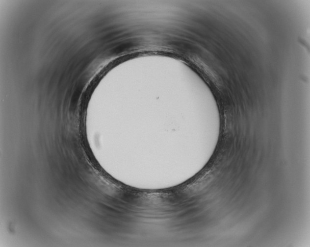 X0000099320828200805021311