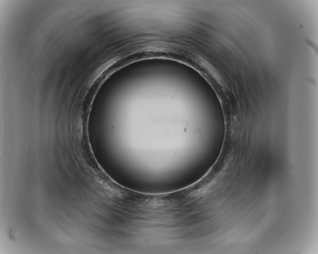 X0000099320829200805021311