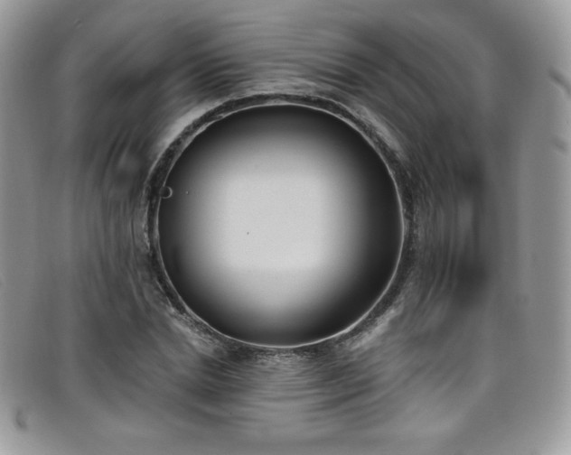 X0000099320830200805021311