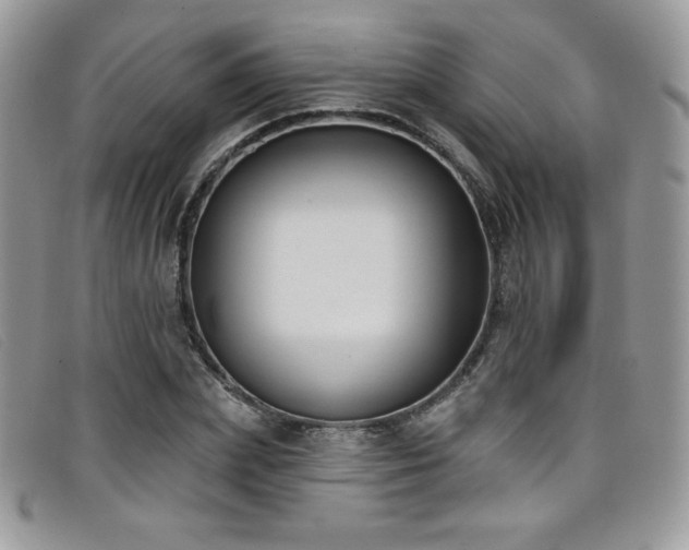 X0000099320831200805021311