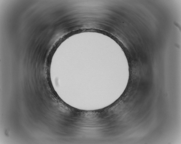 X0000099320832200805021311