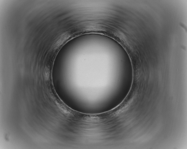 X0000099320833200805021311
