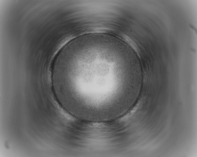 X0000099320835200805021311