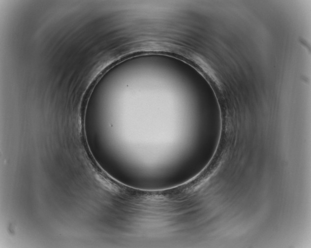X0000099320837200805021311