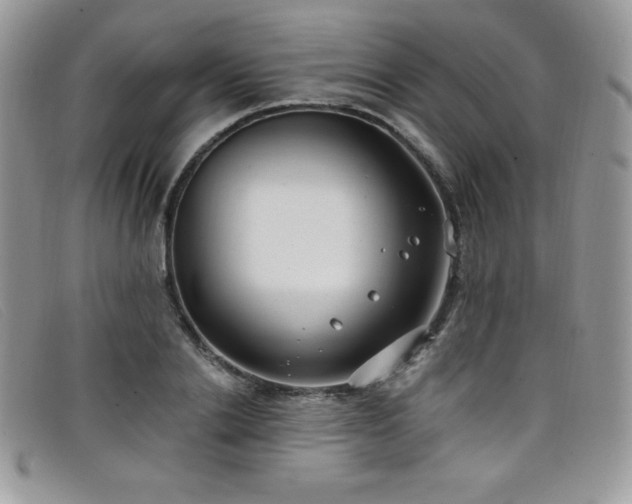 X0000099320838200805021311
