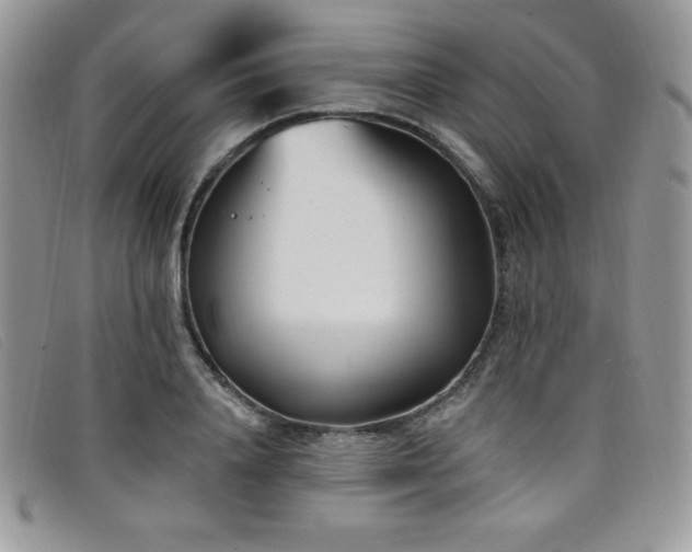 X0000099320840200805021312
