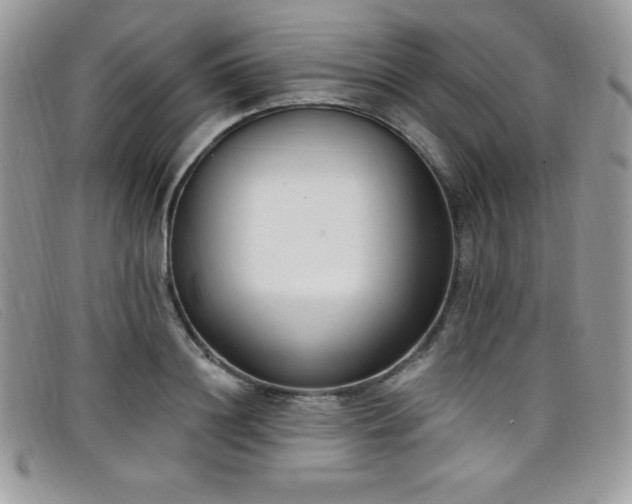 X0000099320844200805021312