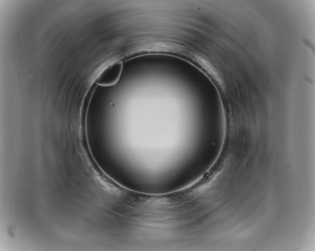 X0000099320845200805021312