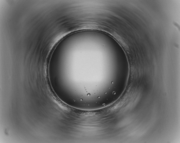 X0000099320846200805021312