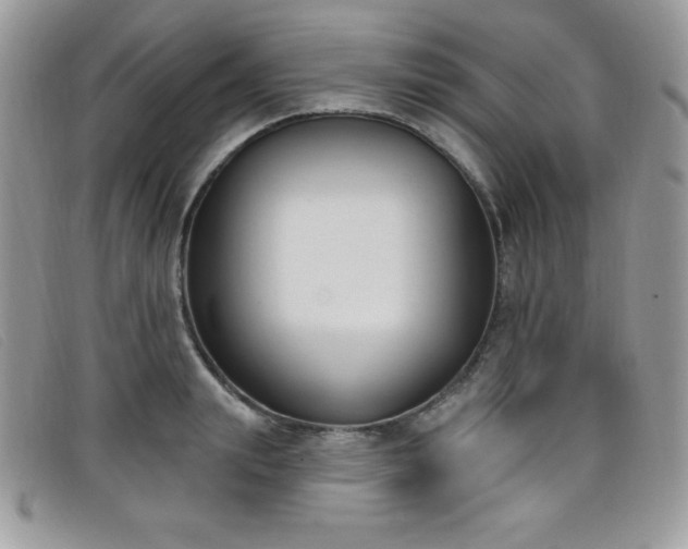 X0000099320847200805021312