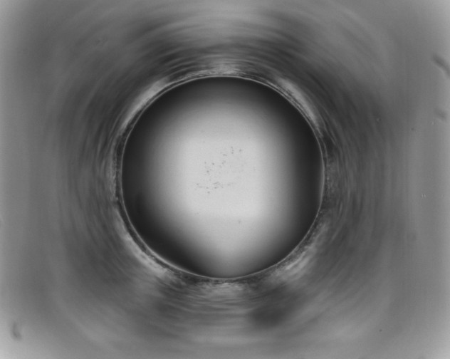 X0000099320851200805021312