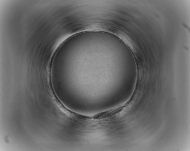 X0000099320854200805021312
