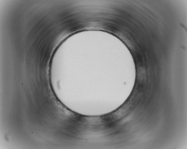 X0000099320856200805021312