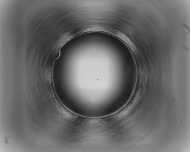 X0000099320857200805021312