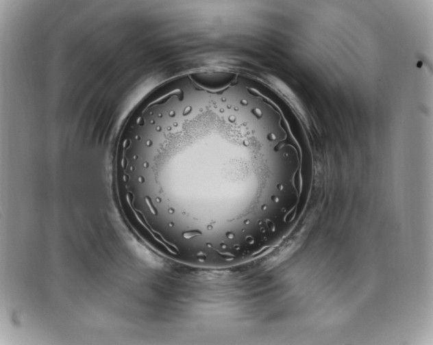 X0000099320859200805021312